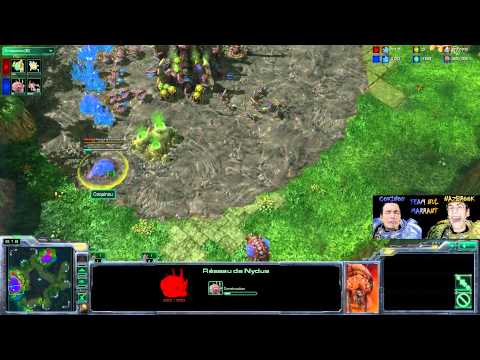 37-Coquinou sur le ladder