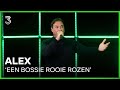 Alex speelt 'Een Bossie Rooie Rozen' | 3FM Live Box | NPO 3FM