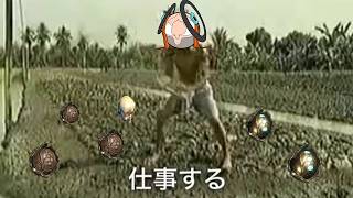 【急募】1日で1万デュカットを集める方法【Warframe】