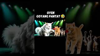 Download lagu OYENGOYANG PANTAT 🤣 #KucingOren#KucingLucu#JogetLucu#DangdutKucing#FunnyCatShorts mp3 Download lagu OYENGOYANG PANTAT 🤣 #KucingOren#KucingLucu#JogetLucu#DangdutKucing#FunnyCatShorts mp3