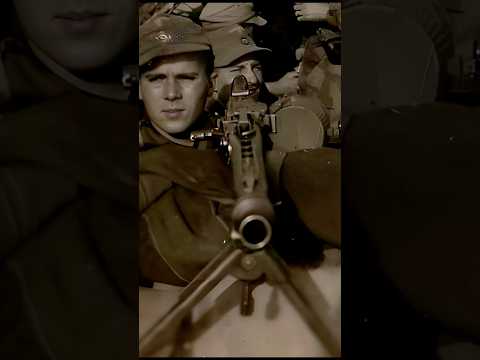 Operation COBRA: The Breakout from Normandy #ww2 #history #cobra