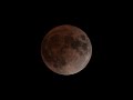 Buffy Sainte-Marie "moonshot"