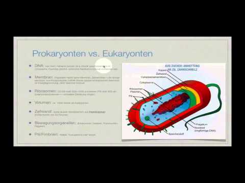 Bluthochdruck und Vision Bedeuten dynamischen Blutdruck