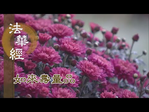 【靜思妙蓮華】法華經如來壽量品 - 三身無礙 本跡圓融 - 20230929 第1513集