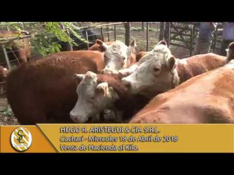 18-04-18 Venta de Hacienda al Kilo - Hugo R. Aristegui & Cia S.R.L. - Cacharí.