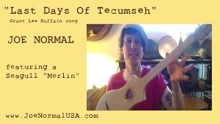 Last Days Of Tecumseh - Joe Normal (GRANT LEE BUFFALO cover) Merlin by Seagull
