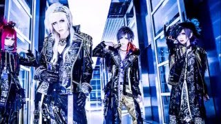 Royz「S.I.V.A」PHALAENOPSIS