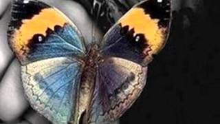 En la Vida Todo es Ir Joan Manuel Serrat - Juan Antonio Corretjer