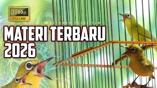 Download lagu 🔴 LIVE Masteran Pleci Tembakan Mewah Terbaru 2026 !!! mp3
