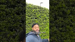 The best part about spring time in Europe 😁 #spring #cultures #daylightsavings