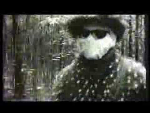 The Cooters "Life Like"
