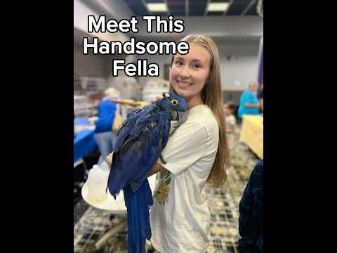 BIRD FAIR! 🦜 #birdybirds #bird #fair #macaw #scarlet #parrot #african #love #birds #like #subscribe