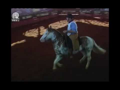 Aberta Brasília – 3° lugar machos – Faceiro da Mangueira Velha