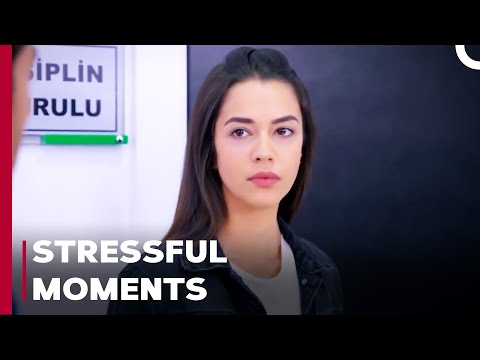 Discipline Board Announces Its Decision - Can't Stop Loving You