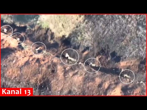 Drone annihilates Russians in trenches – They leave behind fellow soldier they had been dragging