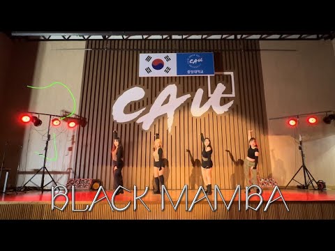[중앙대 사범대학 댄스동아리 E:NCHANT 인첸트] 2023 사범대학 해오름제 | aespa (에스파)-Black Mamba