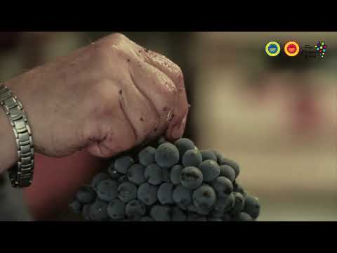 THE NEW TRENDS IN THE WINE WORLD AND THE UNIQUE LOCAL VARIETIES