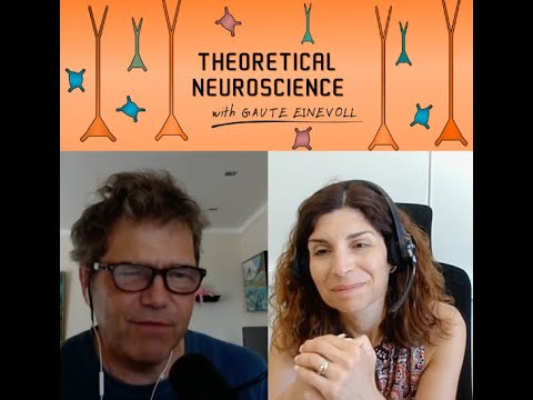 Episode #17: On dendritic function – with Yiota Poirazi