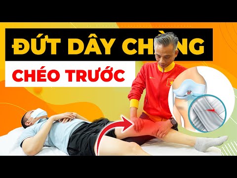 Đứt Dây Chằng Chéo: MRI Có Phải "Cứu Tinh" Trong Chẩn Đoán? Sự Thật Bất Ngờ