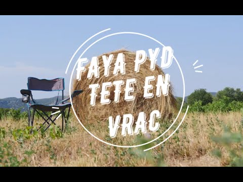Faya Pyd - Tête En Vrac (Prod by Neirda)