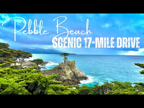 You MUST DO this! 17 Mile Drive | Pebble Beach