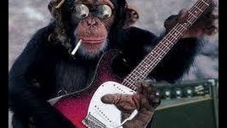 UNDERCOVER AGENT for the blues