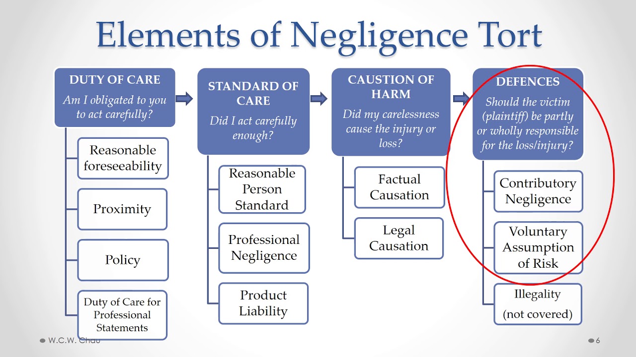 BBA Business Law: Module 4B,  Part E - Negligence Torts & Professional Liability