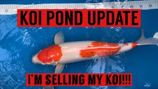 Koi Pond Update/ I’m selling my Koi
