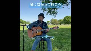 風に吹かれて行こう #歌ってみた #男が歌う #ギター #アレンジカバー #弾き語り #昭和歌謡カバー