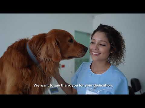 Voiceovers YouTube video thumbnail - Thank You Vets!