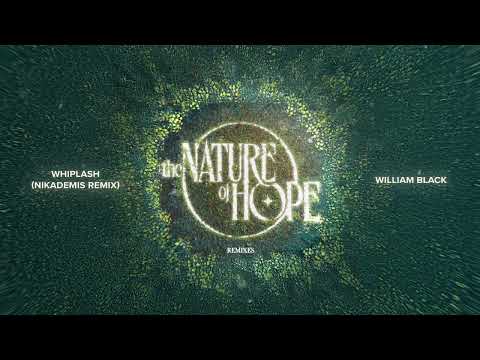 William Black - Whiplash (Nikademis Remix)