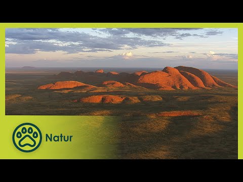 Die Insel der Teufel | Australiens Nationalparks 5/5 | Go Wild