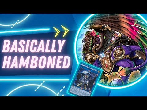 30 Hand Trap Deck vs Blue Eyes