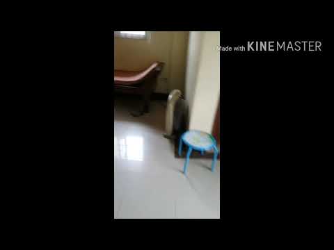 Beyblade burst evolution episode 4 v valkerie vs beast behemoth