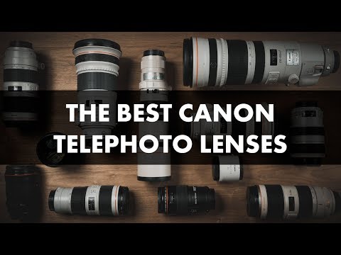Best Canon Telephoto Lenses: 2019 Camera Lens Comparison