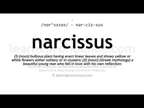 Pronunciation of Narcissus | Definition of Narcissus