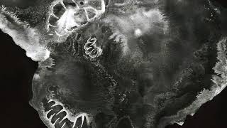 Cover art for frakkur: 4:01