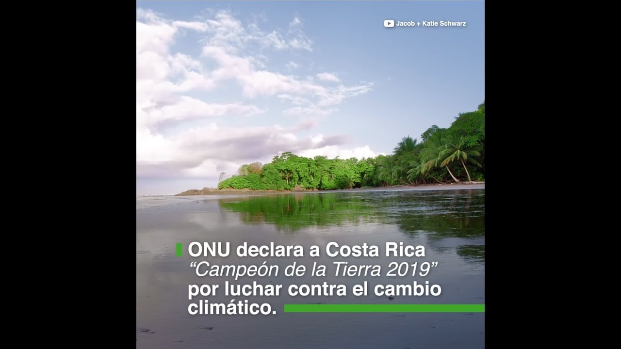 onu declara a costa 