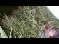 High Life from Kissing Game by Peven Everett Presents Billie Jewell featuring Larry Billups