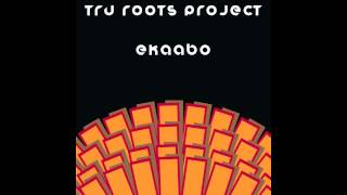 Tru Roots Project  - Relentless (Refix Radio Dub) (GVM024)
