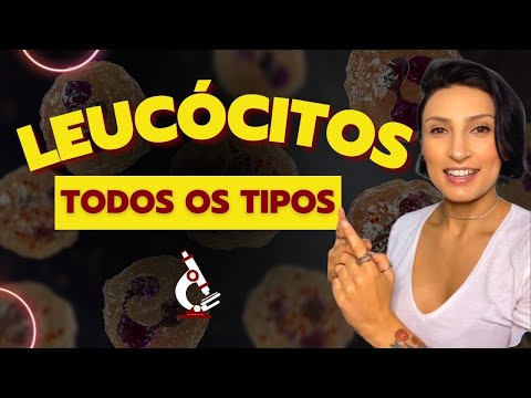 Types of Leukocytes - Granulocytes - Agranulocytes #biology #biomedicine