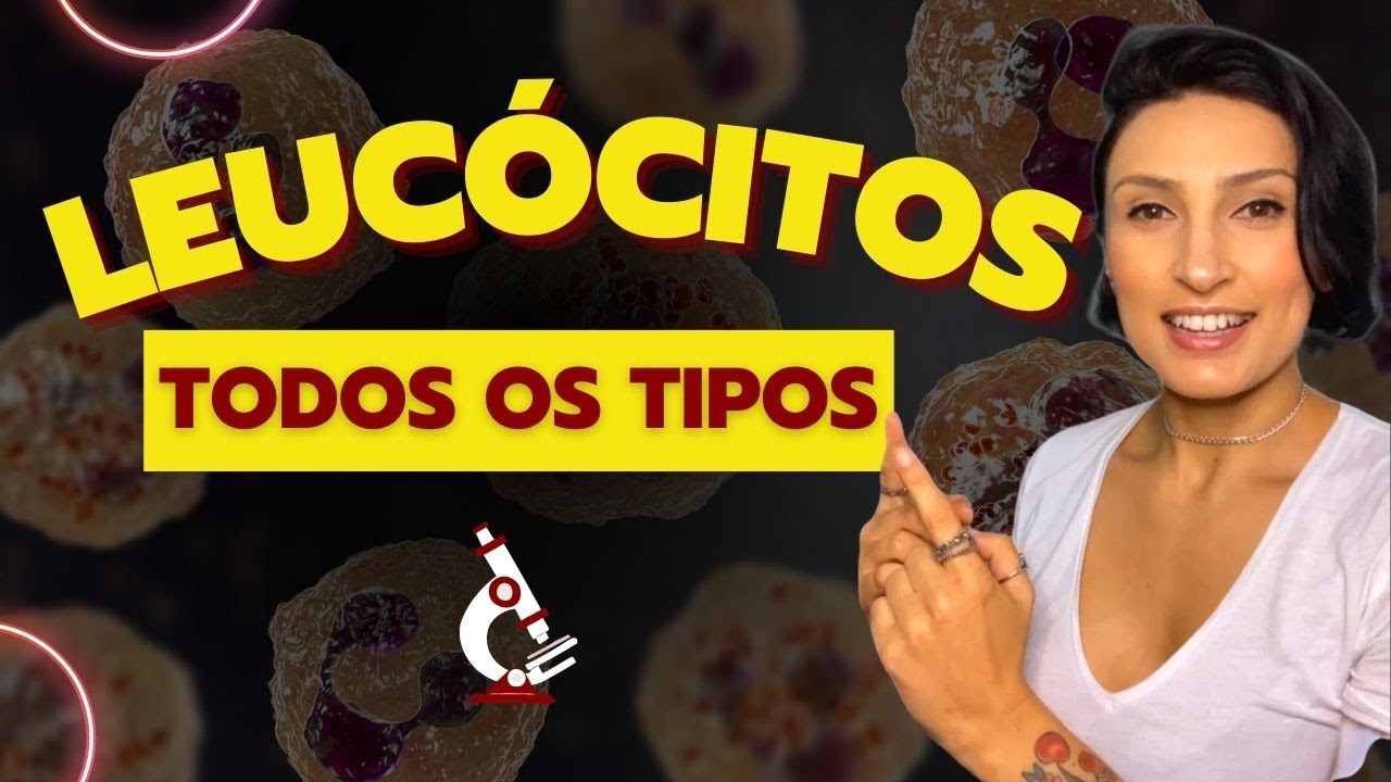Tipos de Leucócitos - Granulócitos - Agranulócitos #biologia #biomedicina