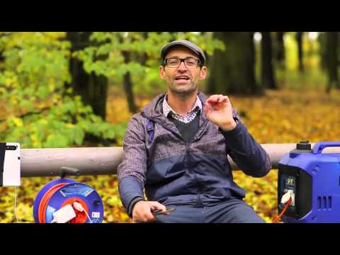 From Survivors to Winners