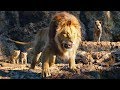 Mufasa Salva A Simba Y A Nala De Las Hienas El Rey León 2019 LATINO