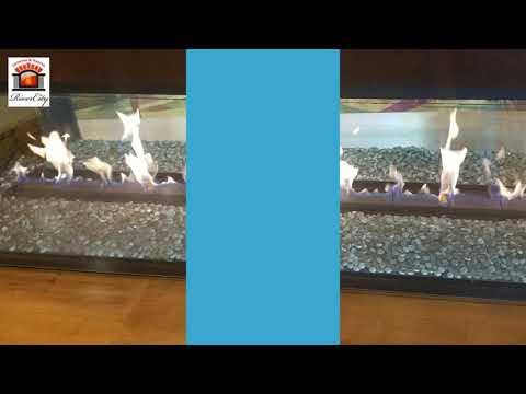 Courtyard Marriott - LaVista