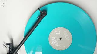 RBD - Keep It Down Low (Vinyl Video)