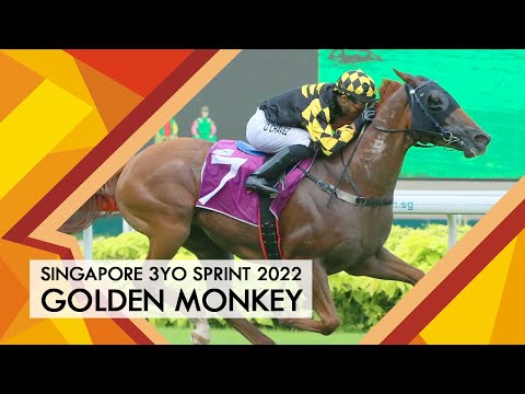 Singapore 3YO Sprint 2022 (Golden Monkey)