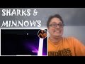 MY DEEPEST FEAR There S A SHARK In The POOL Sharks And Minnows By CoryxKenshin REACTION