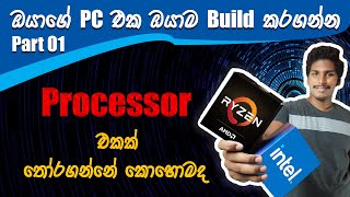 How to choose a Processor Correctly AMD vs Intel S