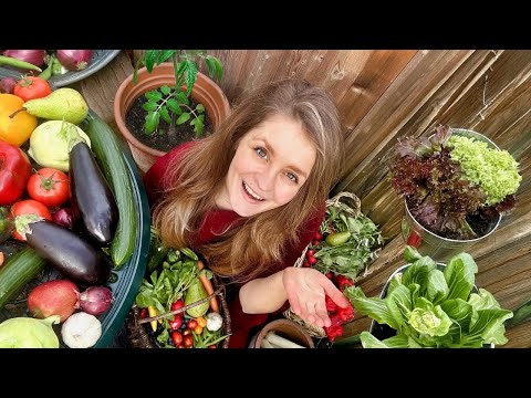 2025 02 Balkonvideo V2